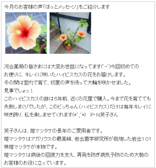 �R����� ����p ���������� �\�h �P�}�c�^�P �v���g���e�c