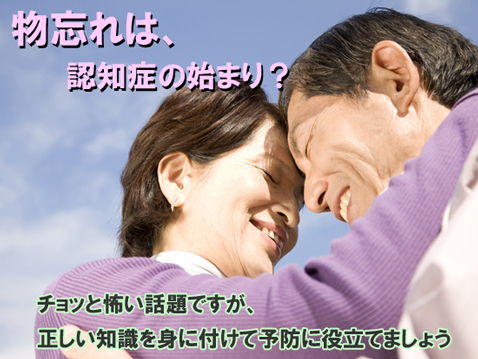 認知症,ボケ予防,認知症対応,認知症ケア,頭痛,めまい,しびれ,脳梗塞,イチョウ葉,エキス,GBE-24,140粒入り