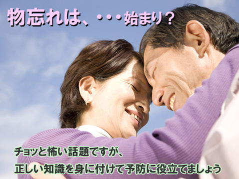 物忘れは老化の始まり？イチョウ葉エキスがお役に立ちます