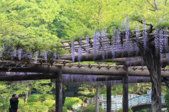 漢方 河合薬局 風景写真ブログ