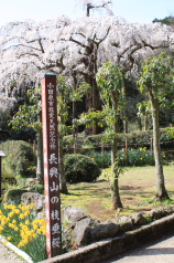 漢方 河合薬局 風景写真ブログ