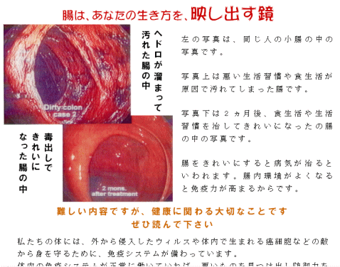 腸は貴方の生き方を映す鏡