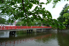 小田原所のお堀