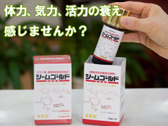 クマイ笹エキスシームゴールド