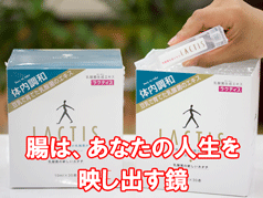 乳酸菌生成エキスラクティス
