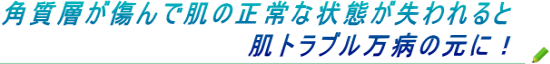 �˥��� ����ȩǺ�߲�� �˥��Ӽ��Ťˤ��ӥ��������ʣ����ƥå�