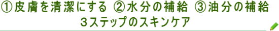 �˥��� ����ȩǺ�߲�� �˥��Ӽ��Ťˤ��ӥ��������ʣ����ƥå�